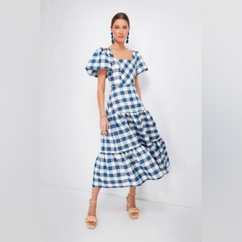 Hunter Bell Cassidy Blue and White Gingham Midi Dress Size 2 - Picture 4 of 9